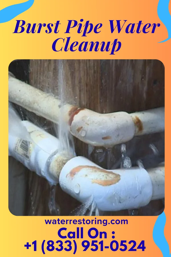 Burst Pipe Water Cleanup in East New Market, MD