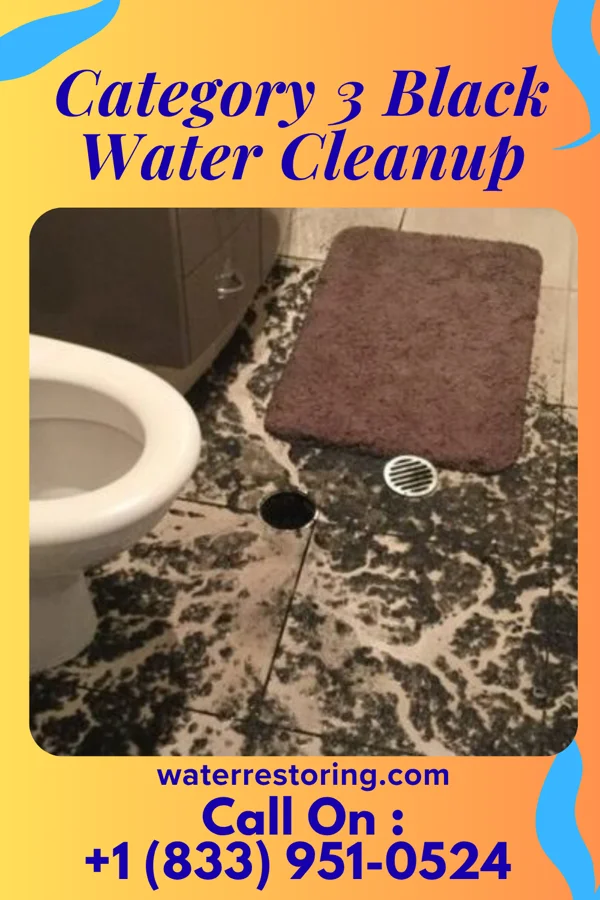 Category 3 Black Water Cleanup in East New Market, MD