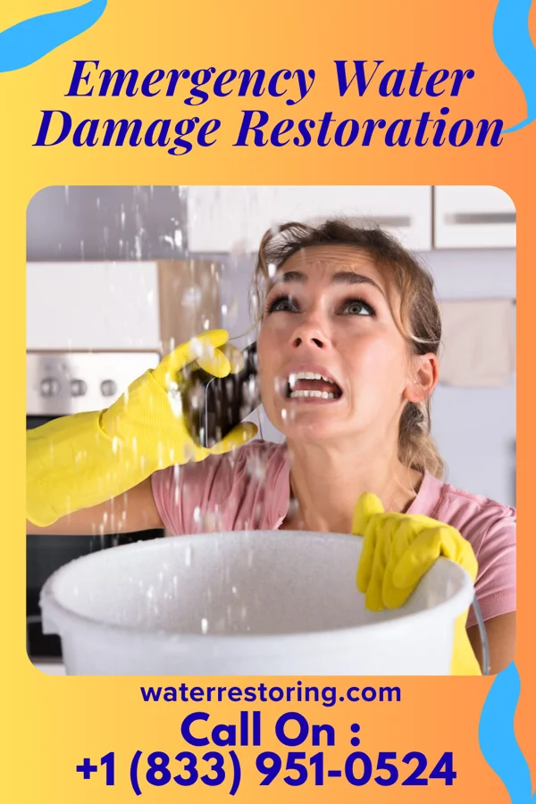 Emergency Water Damage Restoration in East New Market, MD