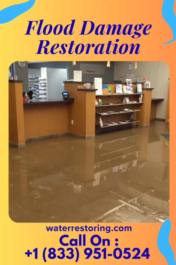 Flood Damage Restoration in East New Market, MD