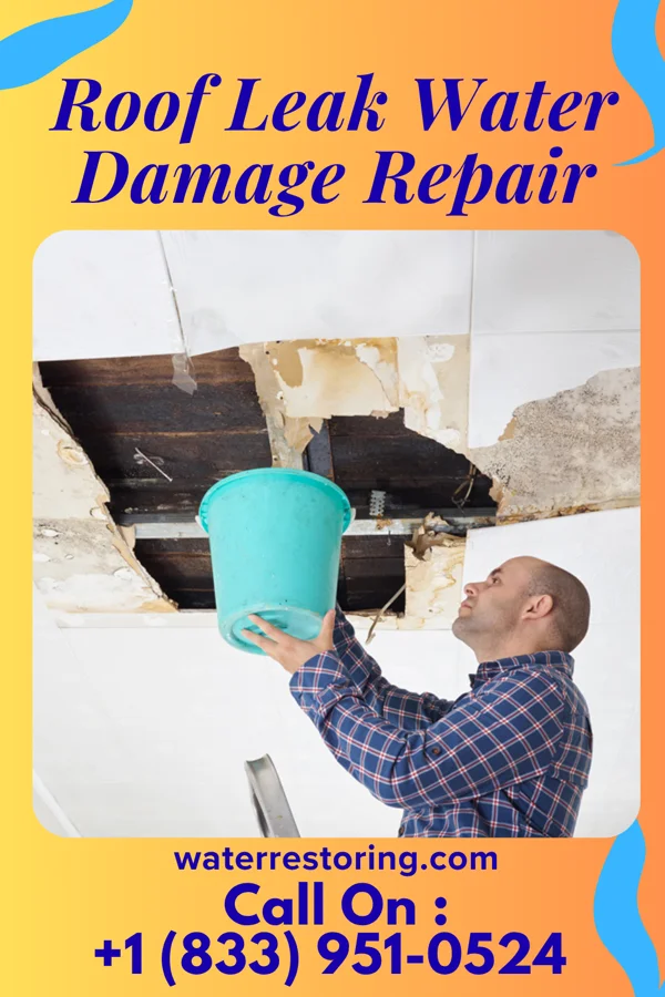Roof Leak Water Damage Repair in East New Market, MD