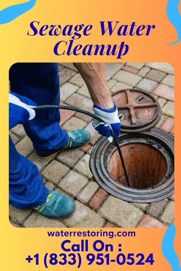 Sewage Water Cleanup in East New Market, MD